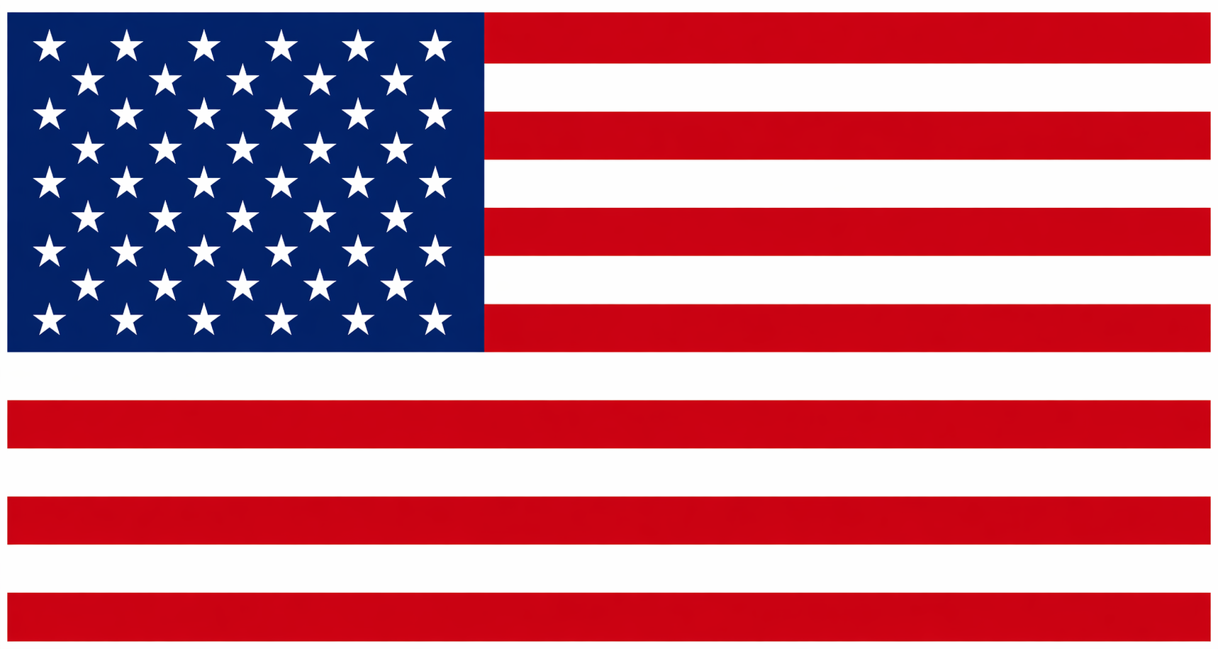 USA Logo